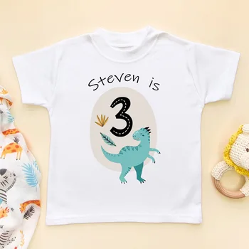 Személyre szabott Gyerek Szülinapi Dinoszaurusz T-shirt 1-6 Éves Fiú Ruhákat Egyéni Név Gyermek Tshirt Gyerekek Szülinapi Ajándék Gyerekek Pólók